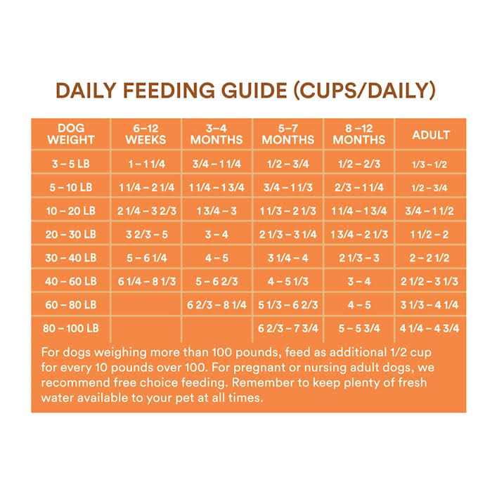 Chicken and Brown Rice Recipe Dry Puppy Food D46275