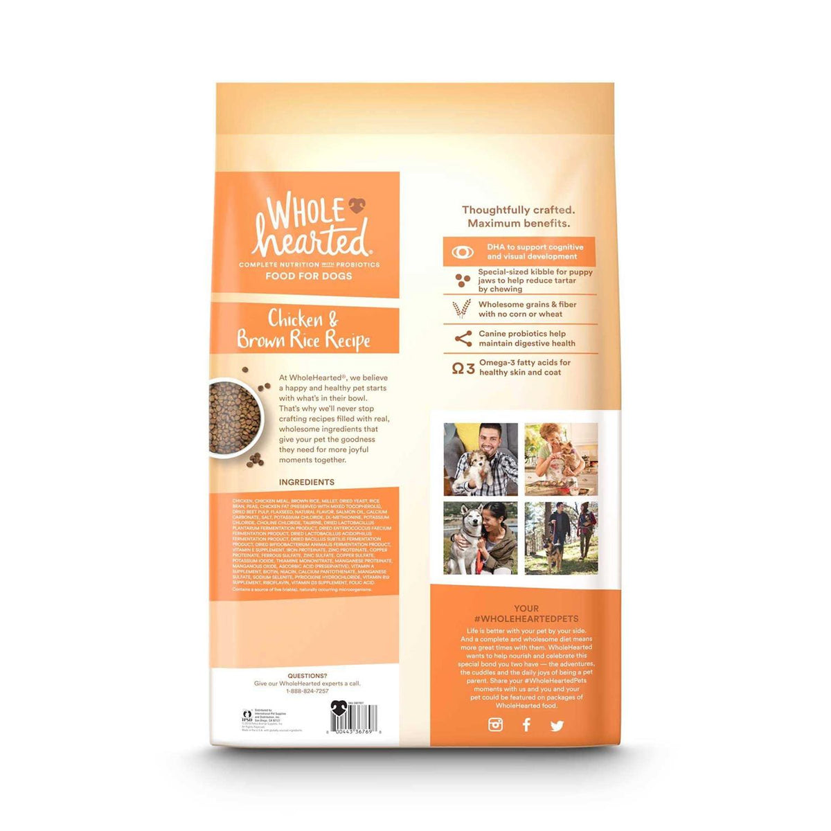Chicken and Brown Rice Recipe Dry Puppy Food D46275
