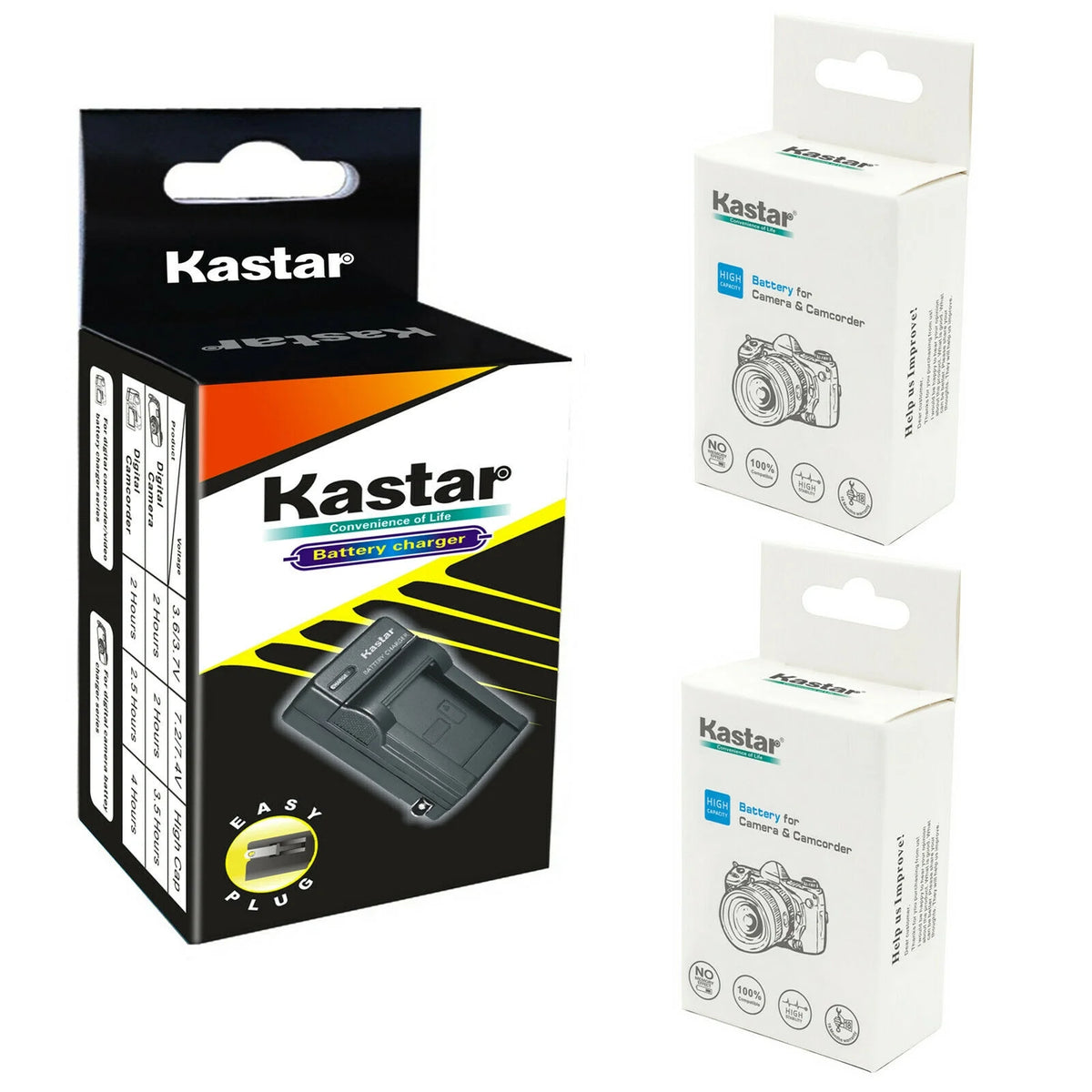 2-Pack Battery and AC Wall Charger B8361