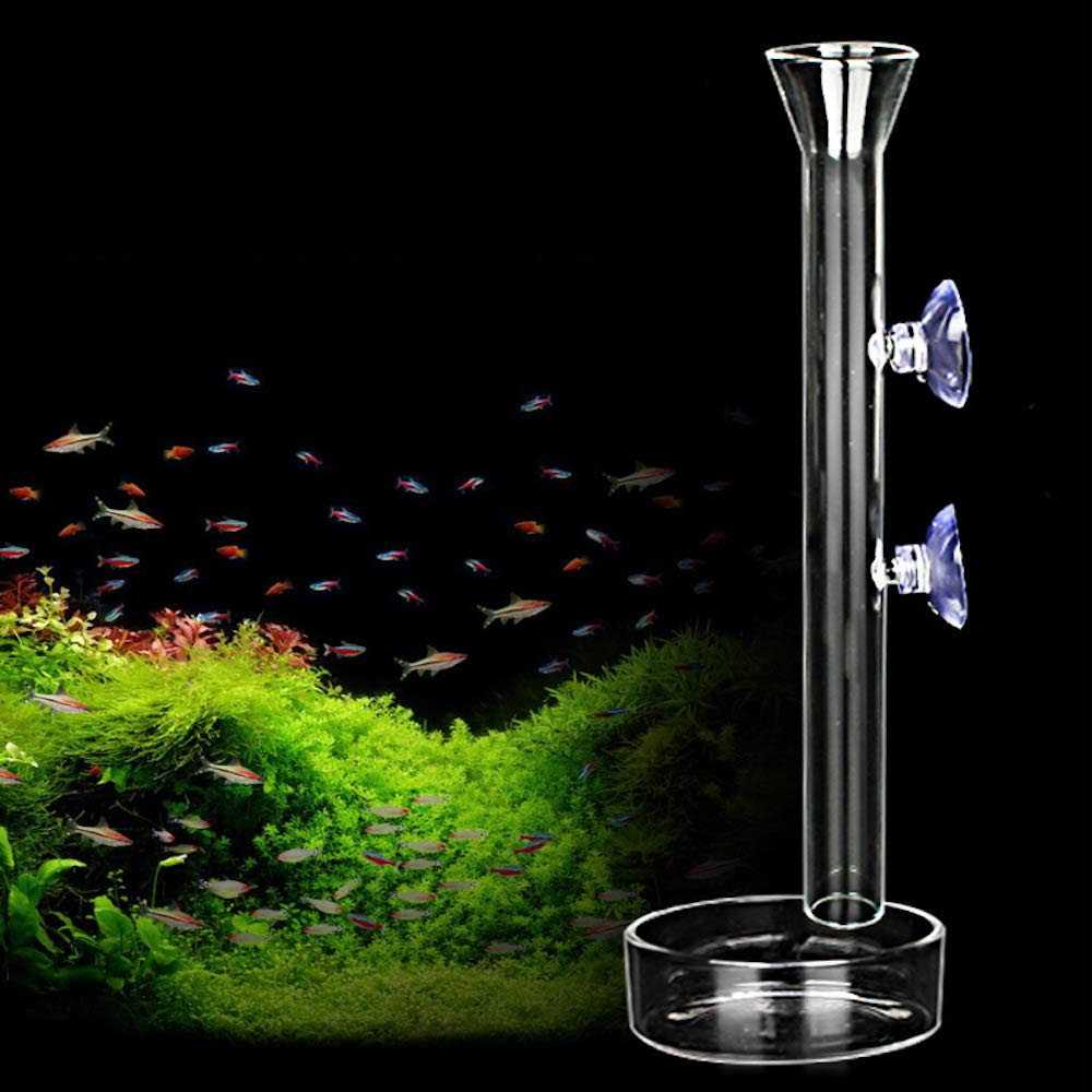 Aquarium Shrimp Feeding Tube and Dish Clear Crystal Glass Feeder Tray S129853