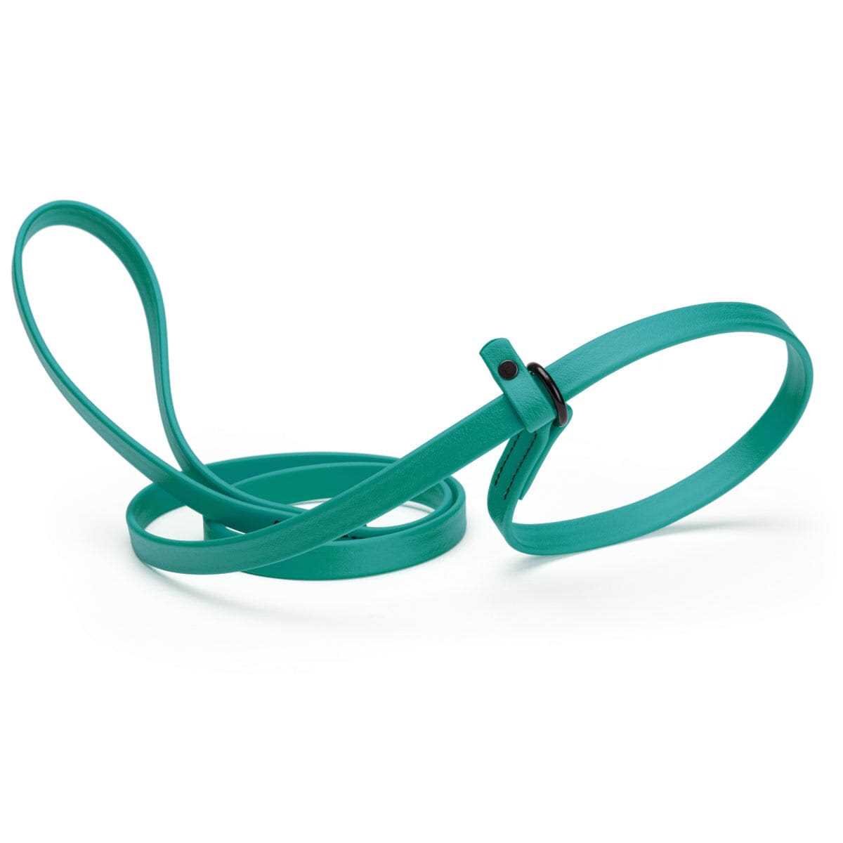 Biothane Slip Dog Leash D4730