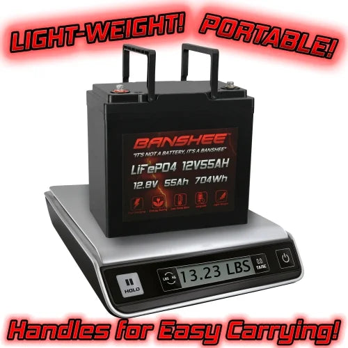 12V 55AH Lithium LiFePO4 Deep Cycle Battery 4 Pack L866857