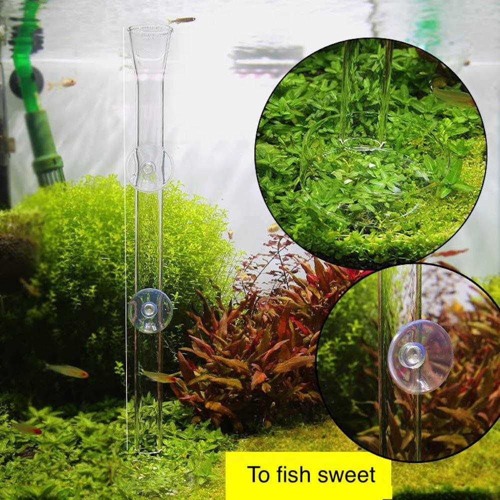 Aquarium Shrimp Feeding Tube and Dish Clear Crystal Glass Feeder Tray S129853
