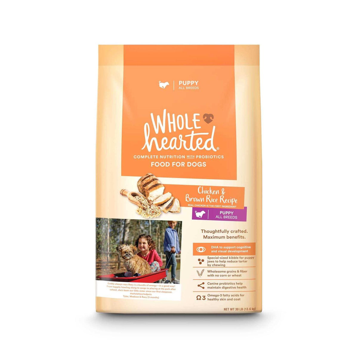 Chicken and Brown Rice Recipe Dry Puppy Food D46275