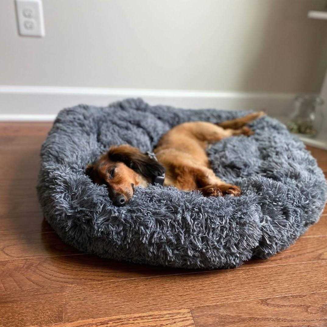Calming Dog Bed Z368