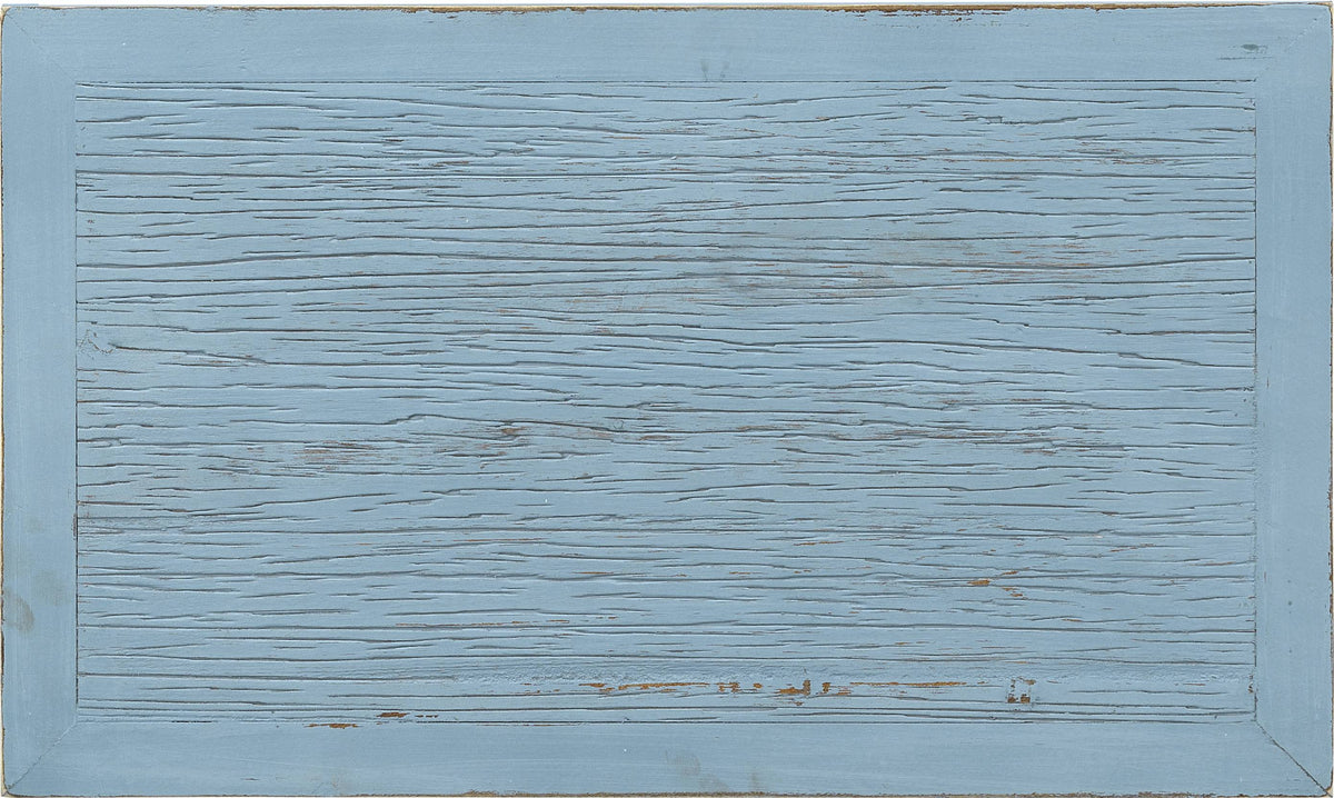 Blue Bookcase Z9662