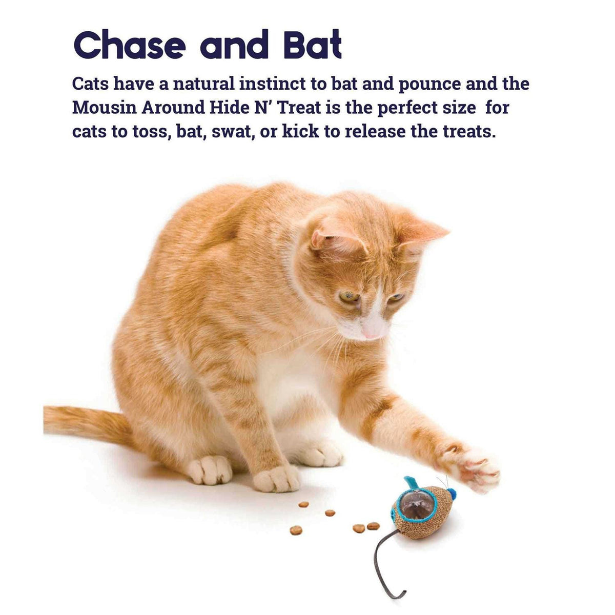 Cat Toy M448594