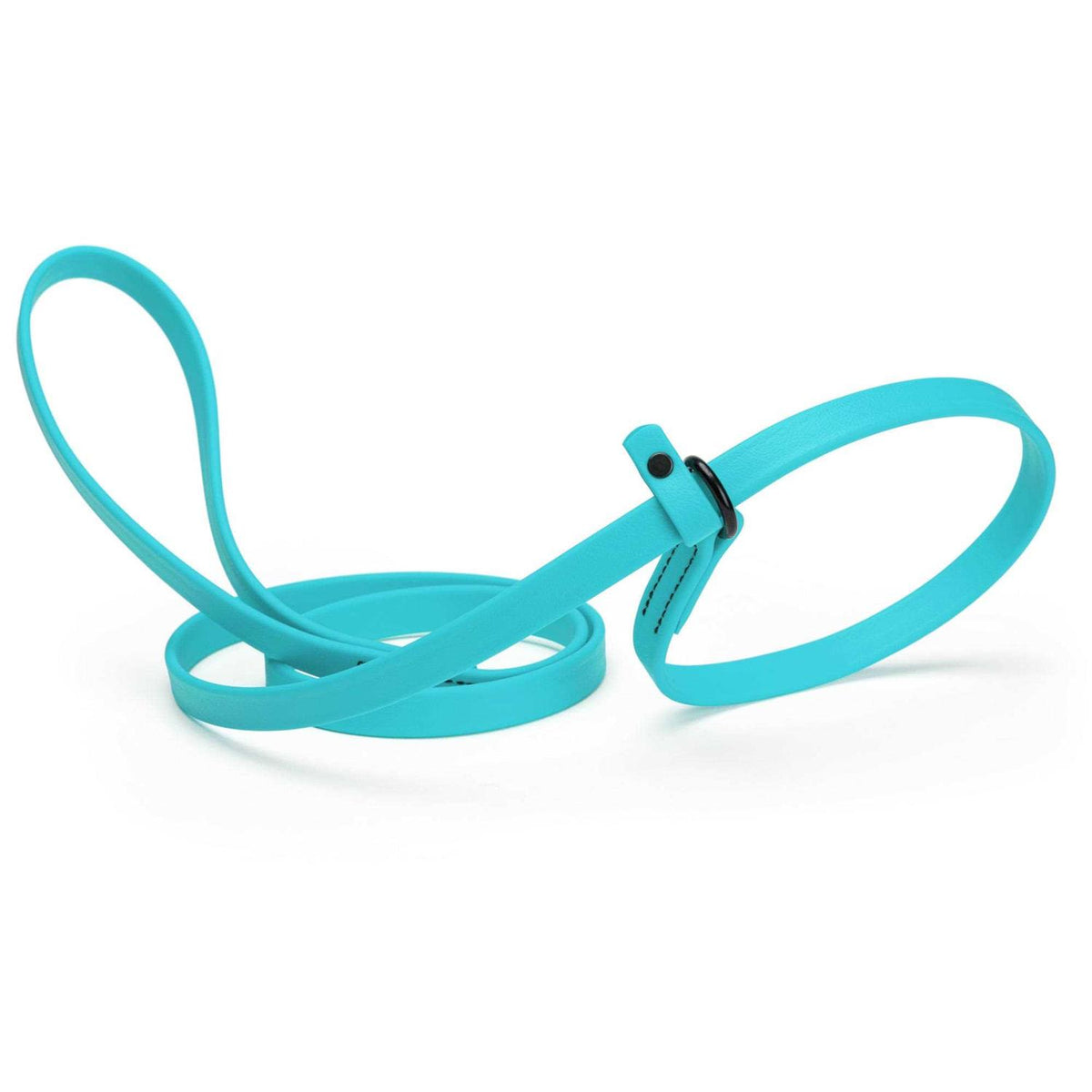 Biothane Slip Dog Leash D4730