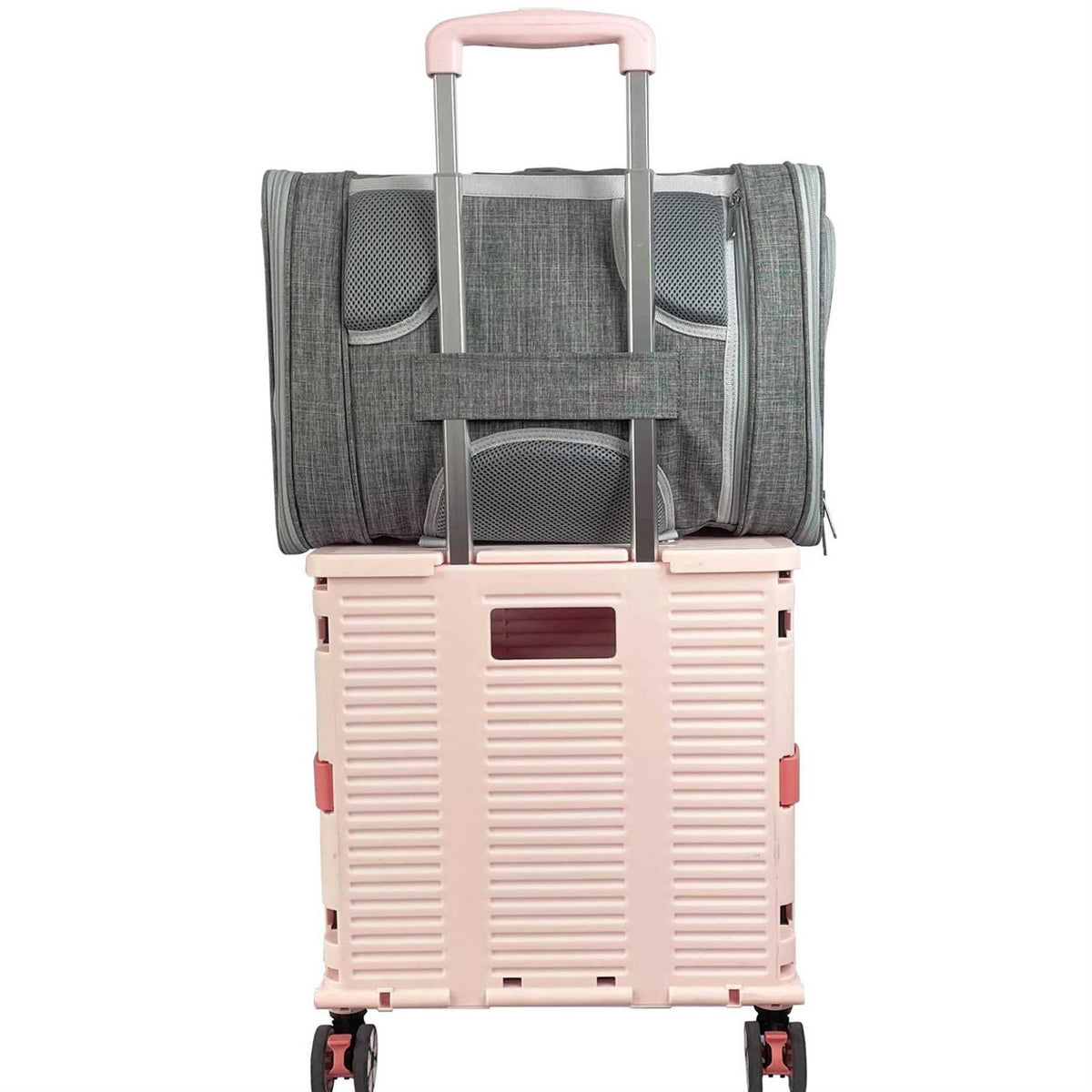 Convertible Backpack Pet Carrier M599182