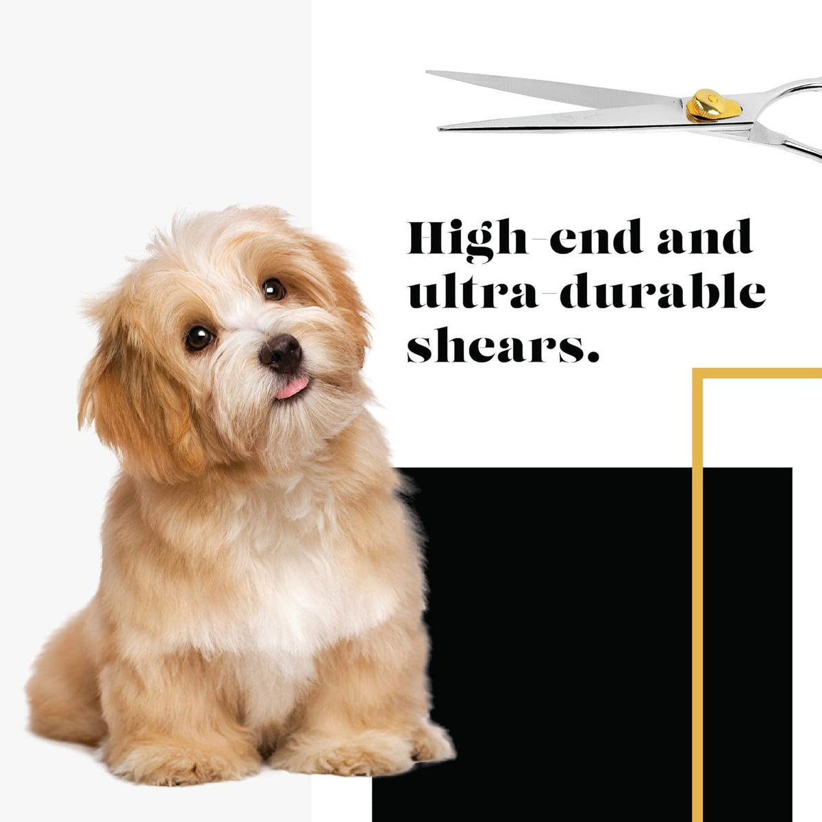 6.5 Inch 440c Japanese Stainless Steel Pet Grooming Scissors N506406