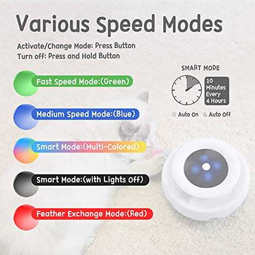 2-in-1 Interactive Cat Toys Z4699