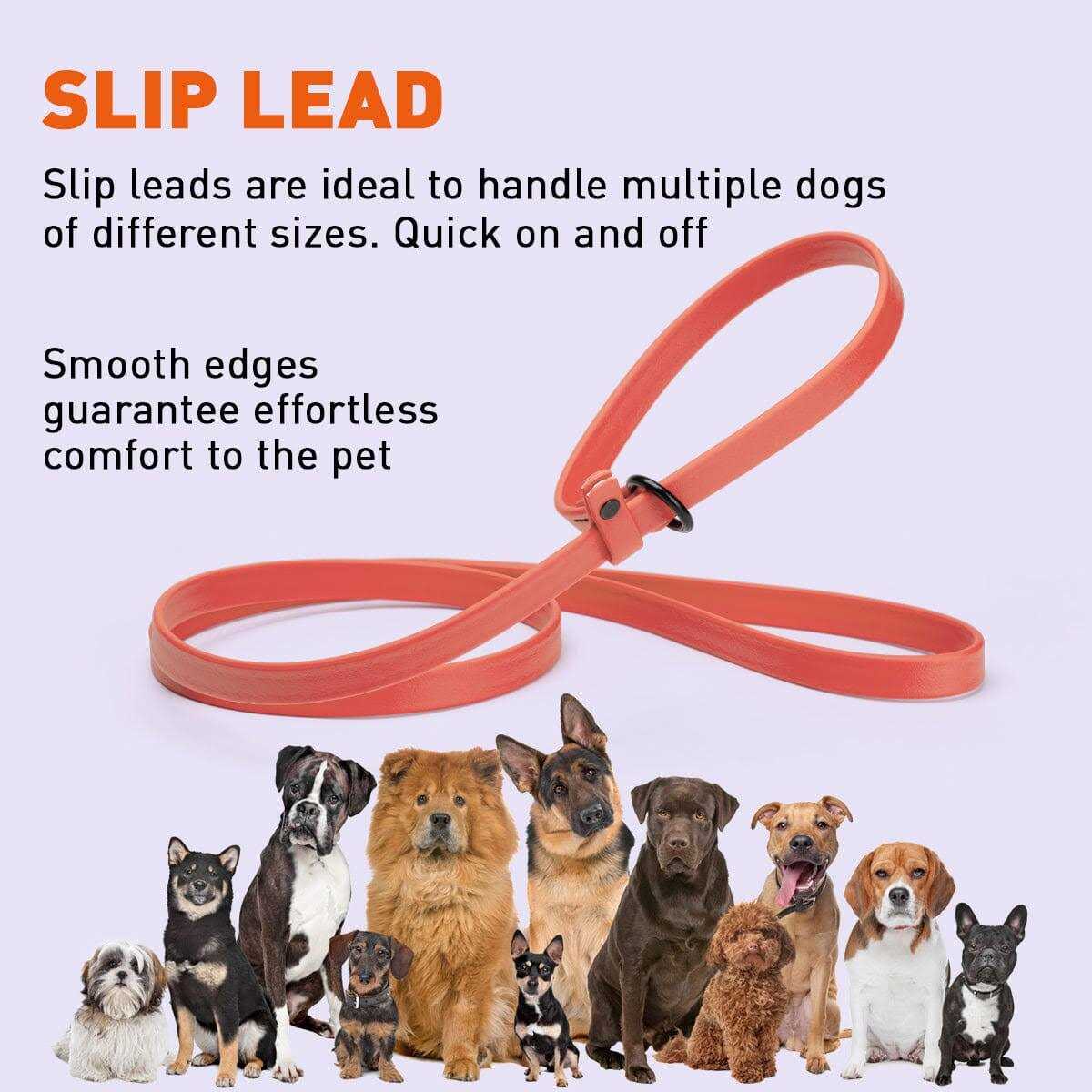 Biothane Slip Dog Leash D4730