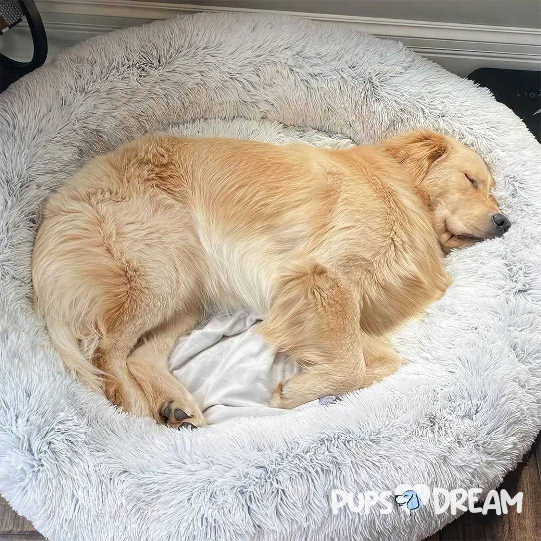 Calming Dog Bed Z368