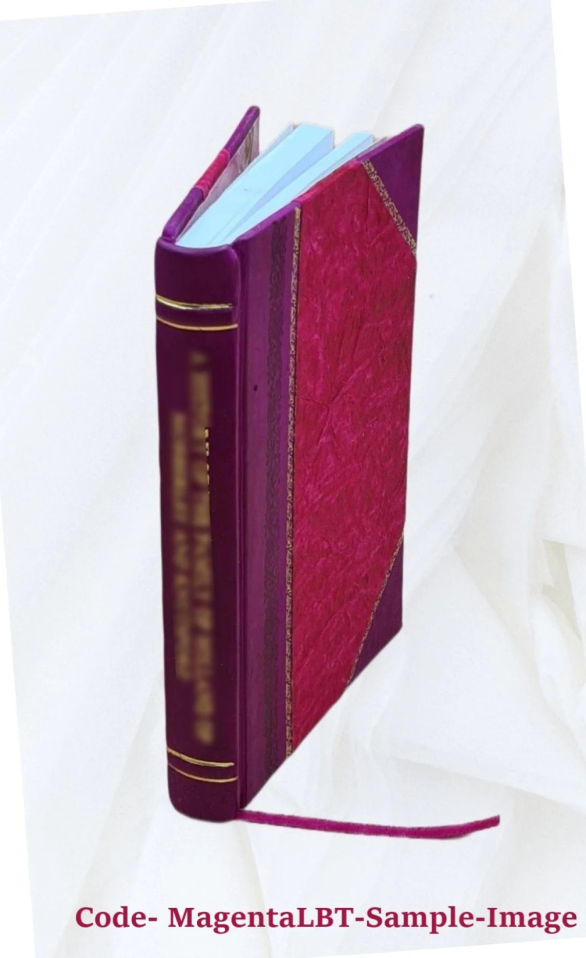 Constitution of the state of Idaho O998
