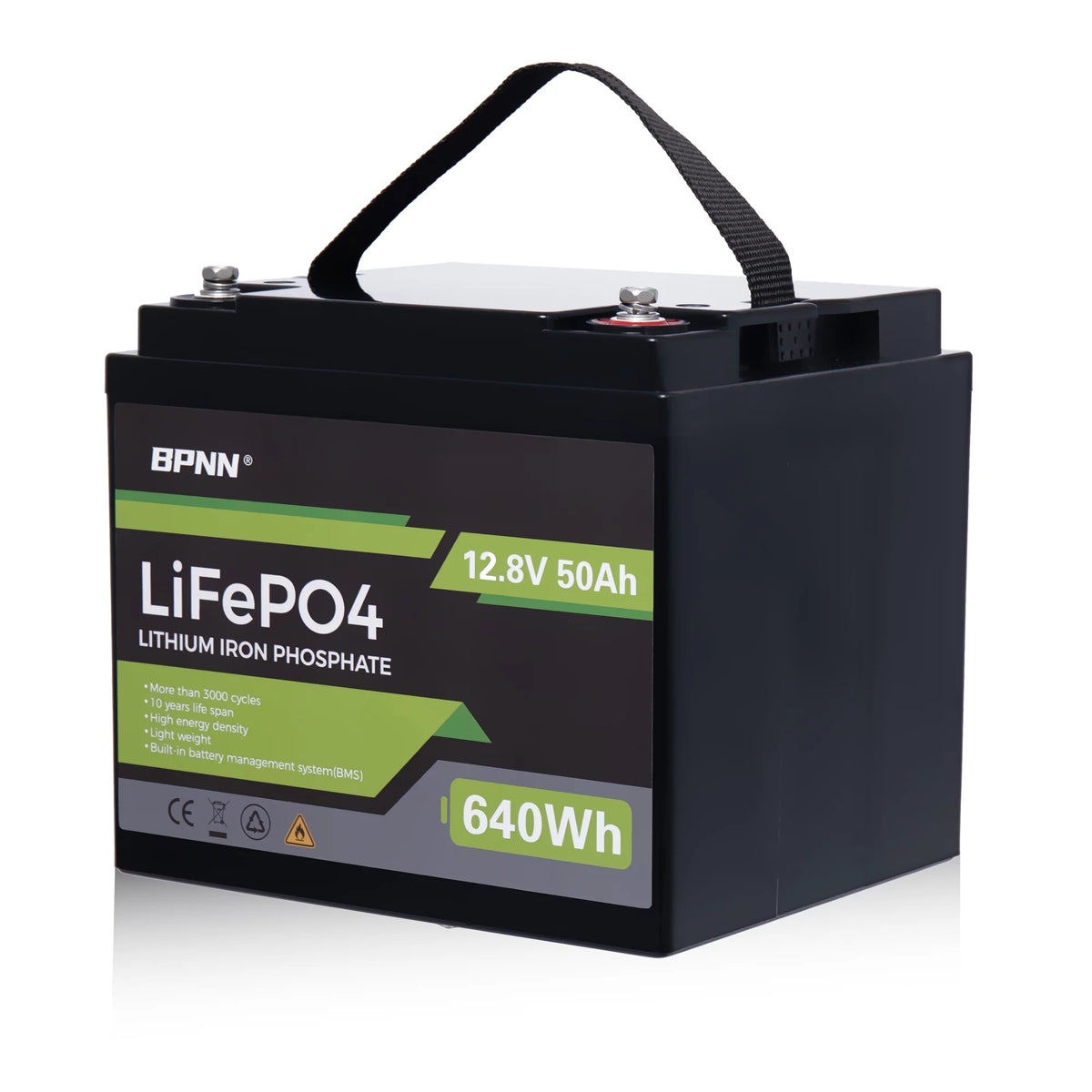 50Ah 12V LiFePo4 Battery E407637