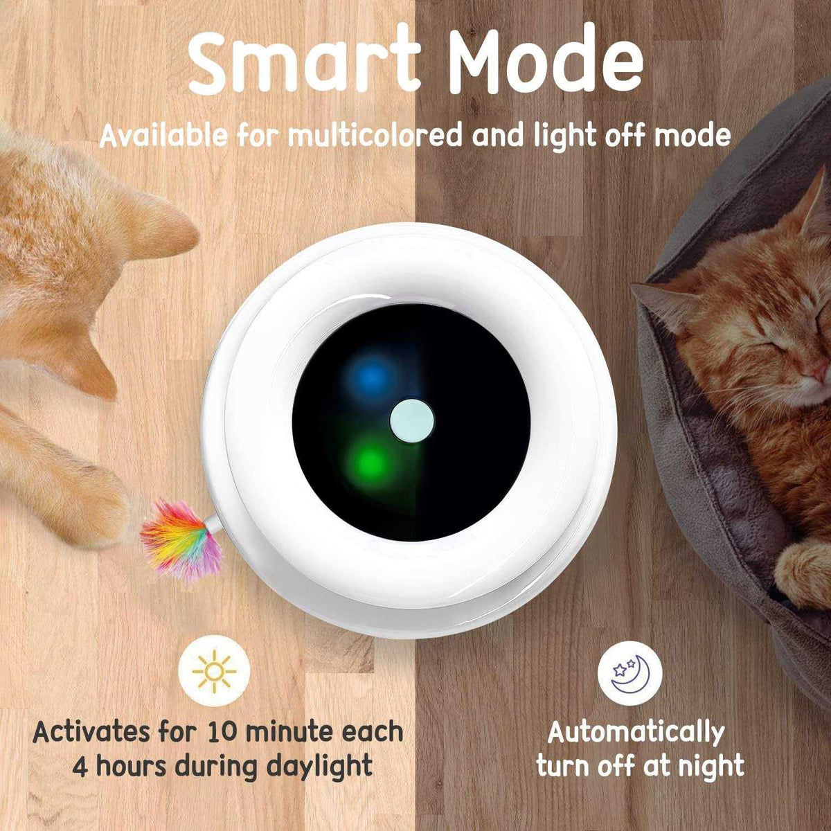2-in-1 Interactive Cat Toys Z4699