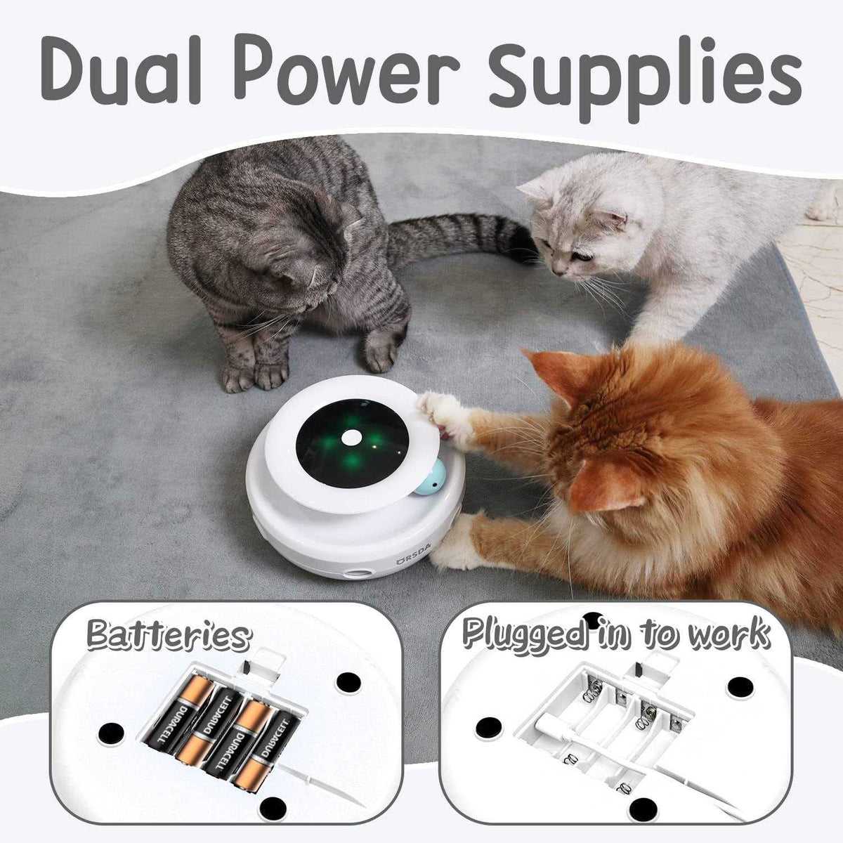 2-in-1 Interactive Cat Toys Z4699