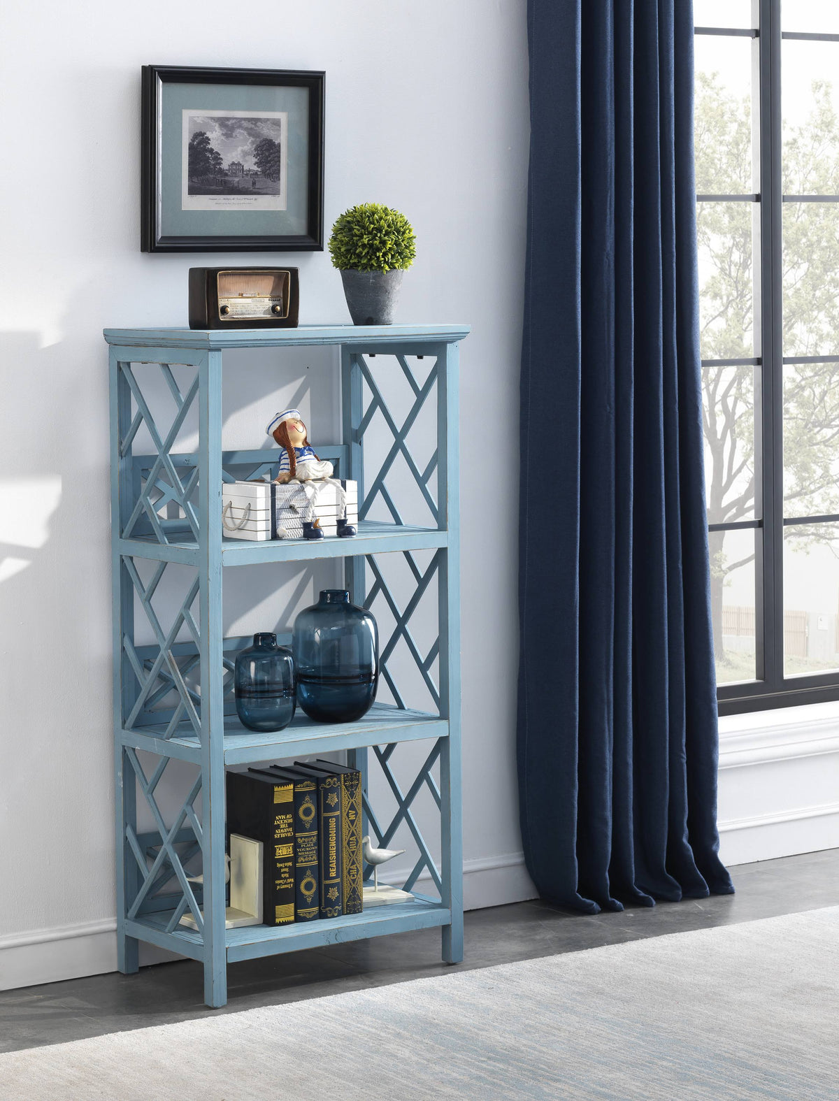 Blue Bookcase Z9662